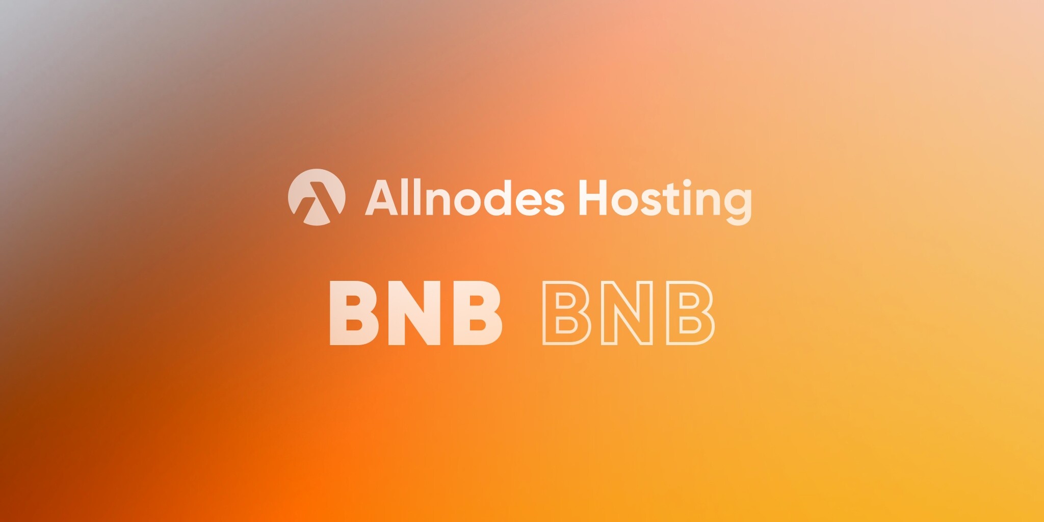 BNB Smart Chain (BNB) Full Nodes Hosting on Allnodes
